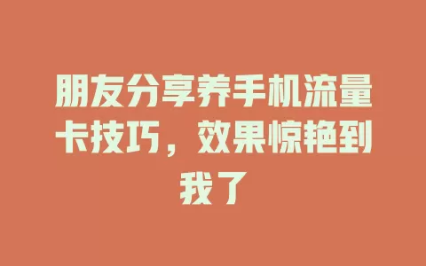 朋友分享养手机流量卡技巧，效果惊艳到我了