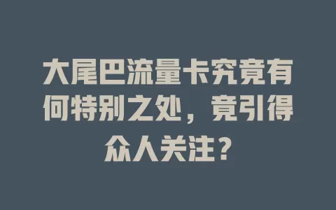 大尾巴流量卡究竟有何特别之处，竟引得众人关注？