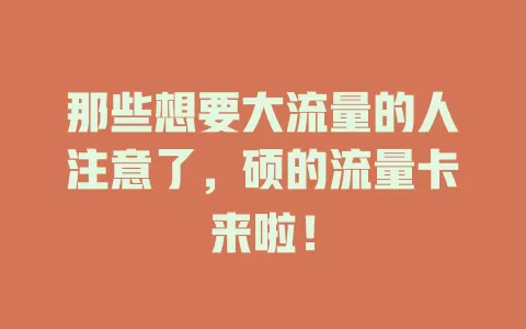 那些想要大流量的人注意了，硕的流量卡来啦！