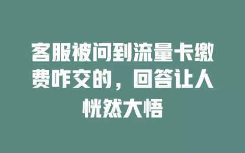 客服被问到流量卡缴费咋交的，回答让人恍然大悟
