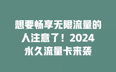 想要畅享无限流量的人注意了！2024永久流量卡来袭
