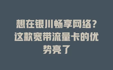 想在银川畅享网络？这款宽带流量卡的优势亮了