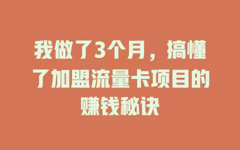 我做了3个月，搞懂了加盟流量卡项目的赚钱秘诀