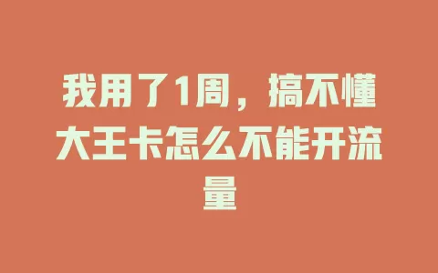 我用了1周，搞不懂大王卡怎么不能开流量