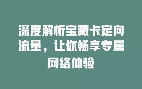 深度解析宝藏卡定向流量，让你畅享专属网络体验
