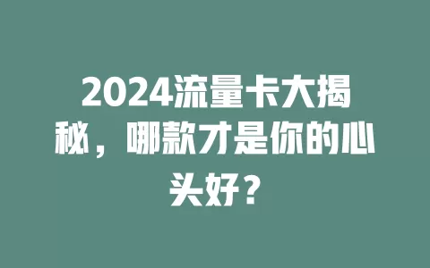 2024流量卡大揭秘，哪款才是你的心头好？