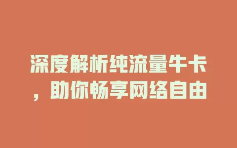 深度解析纯流量牛卡，助你畅享网络自由