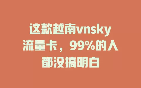 这款越南vnsky流量卡，99%的人都没搞明白