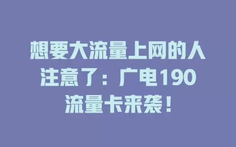 想要大流量上网的人注意了：广电190流量卡来袭！