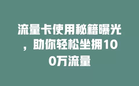 流量卡使用秘籍曝光，助你轻松坐拥100万流量