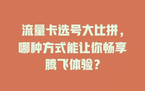 流量卡选号大比拼，哪种方式能让你畅享腾飞体验？