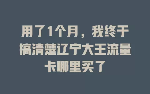 用了1个月，我终于搞清楚辽宁大王流量卡哪里买了