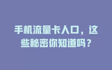 手机流量卡人口，这些秘密你知道吗？