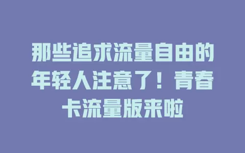那些追求流量自由的年轻人注意了！青春卡流量版来啦