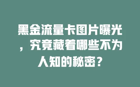 黑金流量卡图片曝光，究竟藏着哪些不为人知的秘密？