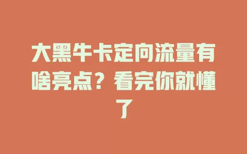 大黑牛卡定向流量有啥亮点？看完你就懂了