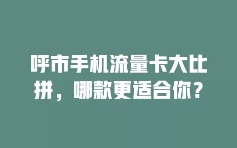 呼市手机流量卡大比拼，哪款更适合你？
