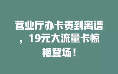 营业厅办卡贵到离谱，19元大流量卡惊艳登场！