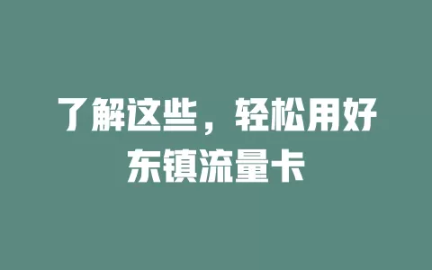了解这些，轻松用好东镇流量卡