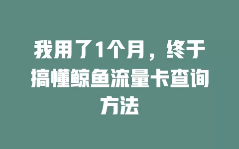 我用了1个月，终于搞懂鲸鱼流量卡查询方法