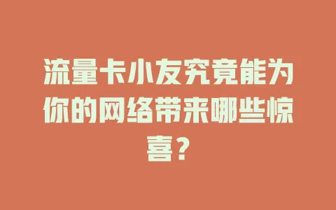 流量卡小友究竟能为你的网络带来哪些惊喜？