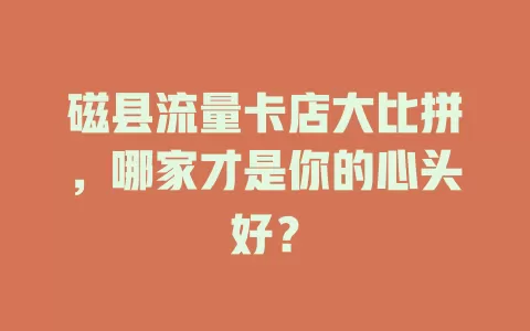 磁县流量卡店大比拼，哪家才是你的心头好？