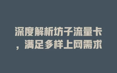 深度解析坊子流量卡，满足多样上网需求
