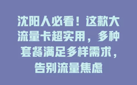 沈阳人必看！这款大流量卡超实用，多种套餐满足多样需求，告别流量焦虑