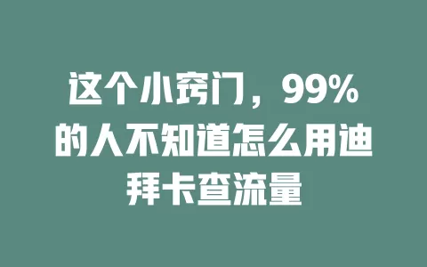 这个小窍门，99%的人不知道怎么用迪拜卡查流量