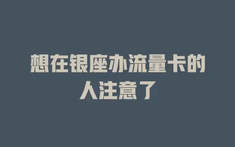 想在银座办流量卡的人注意了