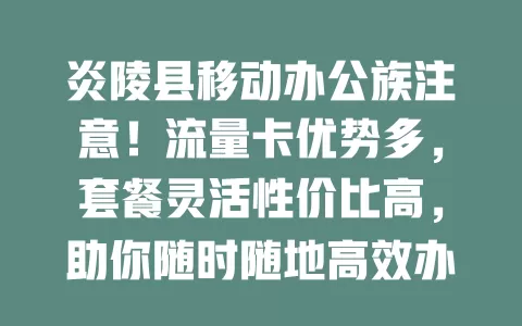 炎陵县移动办公族注意！流量卡优势多，套餐灵活性价比高，助你随时随地高效办公