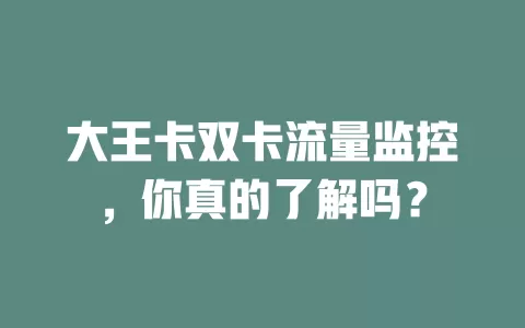 大王卡双卡流量监控，你真的了解吗？