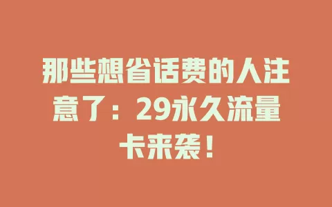 那些想省话费的人注意了：29永久流量卡来袭！
