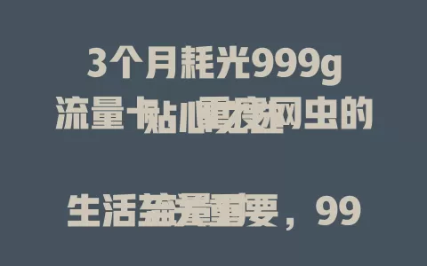 3个月耗光999g流量卡，重度网虫的贴心之选

流量对生活至关重要，999g流量卡流量足超吸睛。重度网虫每月流量需求大，用它追剧玩游戏超爽，工作学习也便利，毫无负担尽享网络精彩。