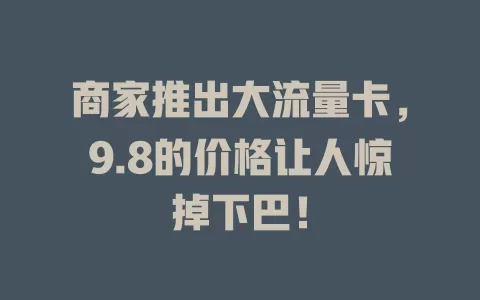 商家推出大流量卡，9.8的价格让人惊掉下巴！
