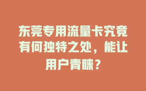 东莞专用流量卡究竟有何独特之处，能让用户青睐？