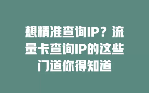 想精准查询IP？流量卡查询IP的这些门道你得知道