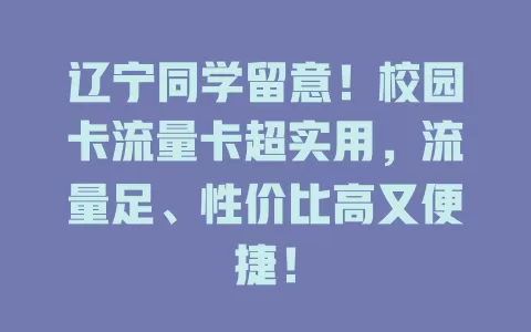辽宁同学留意！校园卡流量卡超实用，流量足、性价比高又便捷！