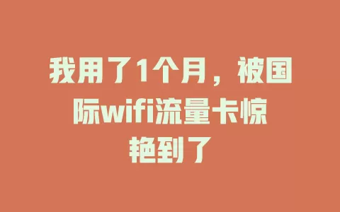 我用了1个月，被国际wifi流量卡惊艳到了