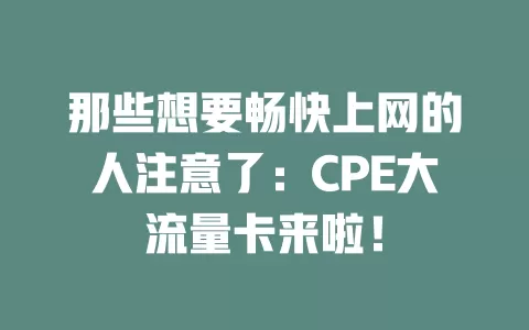 那些想要畅快上网的人注意了：CPE大流量卡来啦！