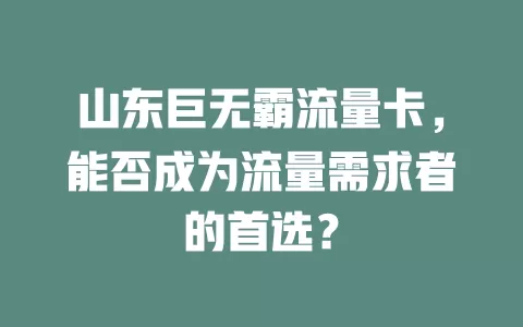 山东巨无霸流量卡，能否成为流量需求者的首选？