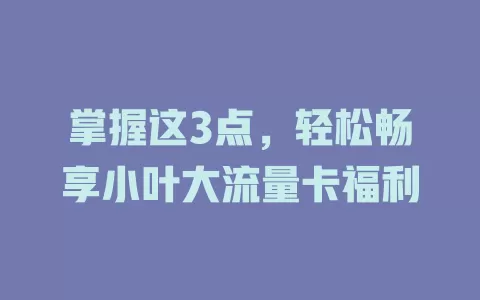 掌握这3点，轻松畅享小叶大流量卡福利