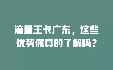 流量王卡广东，这些优势你真的了解吗？