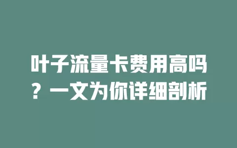 叶子流量卡费用高吗？一文为你详细剖析