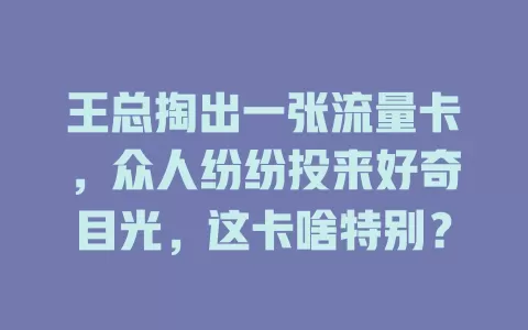 王总掏出一张流量卡，众人纷纷投来好奇目光，这卡啥特别？