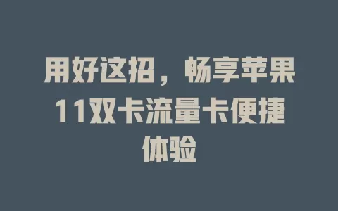 用好这招，畅享苹果11双卡流量卡便捷体验