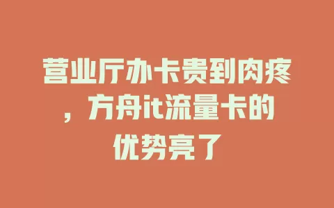 营业厅办卡贵到肉疼，方舟it流量卡的优势亮了