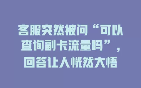 客服突然被问“可以查询副卡流量吗”，回答让人恍然大悟