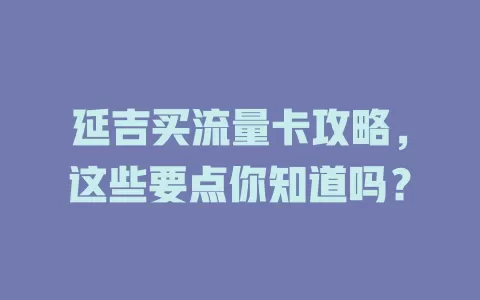 延吉买流量卡攻略，这些要点你知道吗？