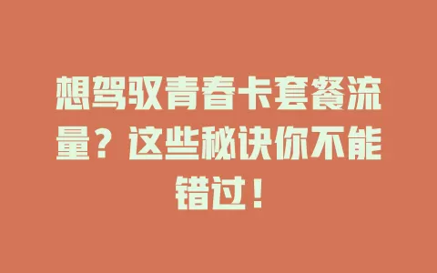 想驾驭青春卡套餐流量？这些秘诀你不能错过！